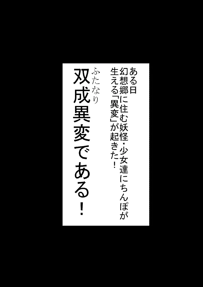 東方双珍録～風見幽香～ 2 3ページ