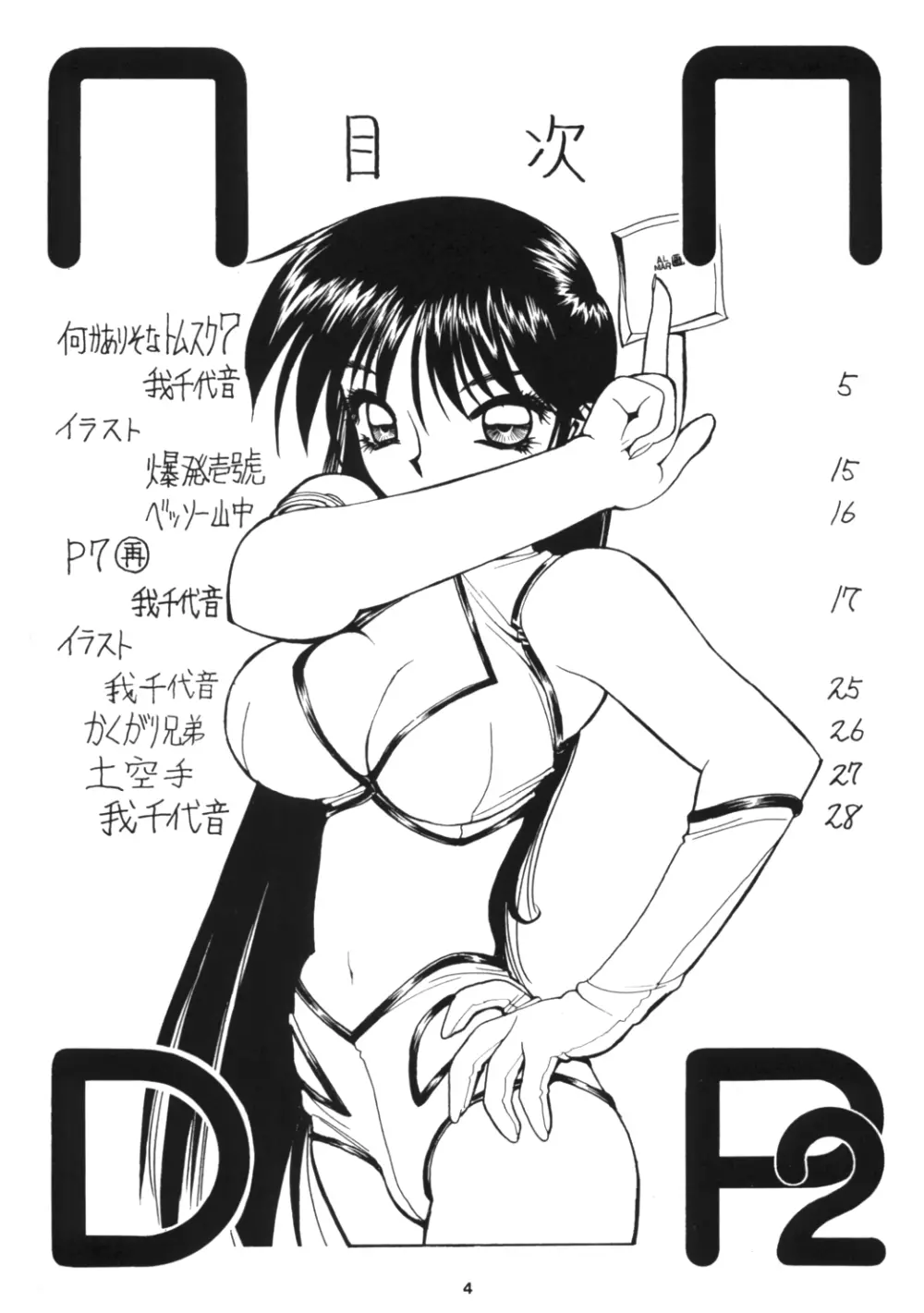 NNDP 2 4ページ