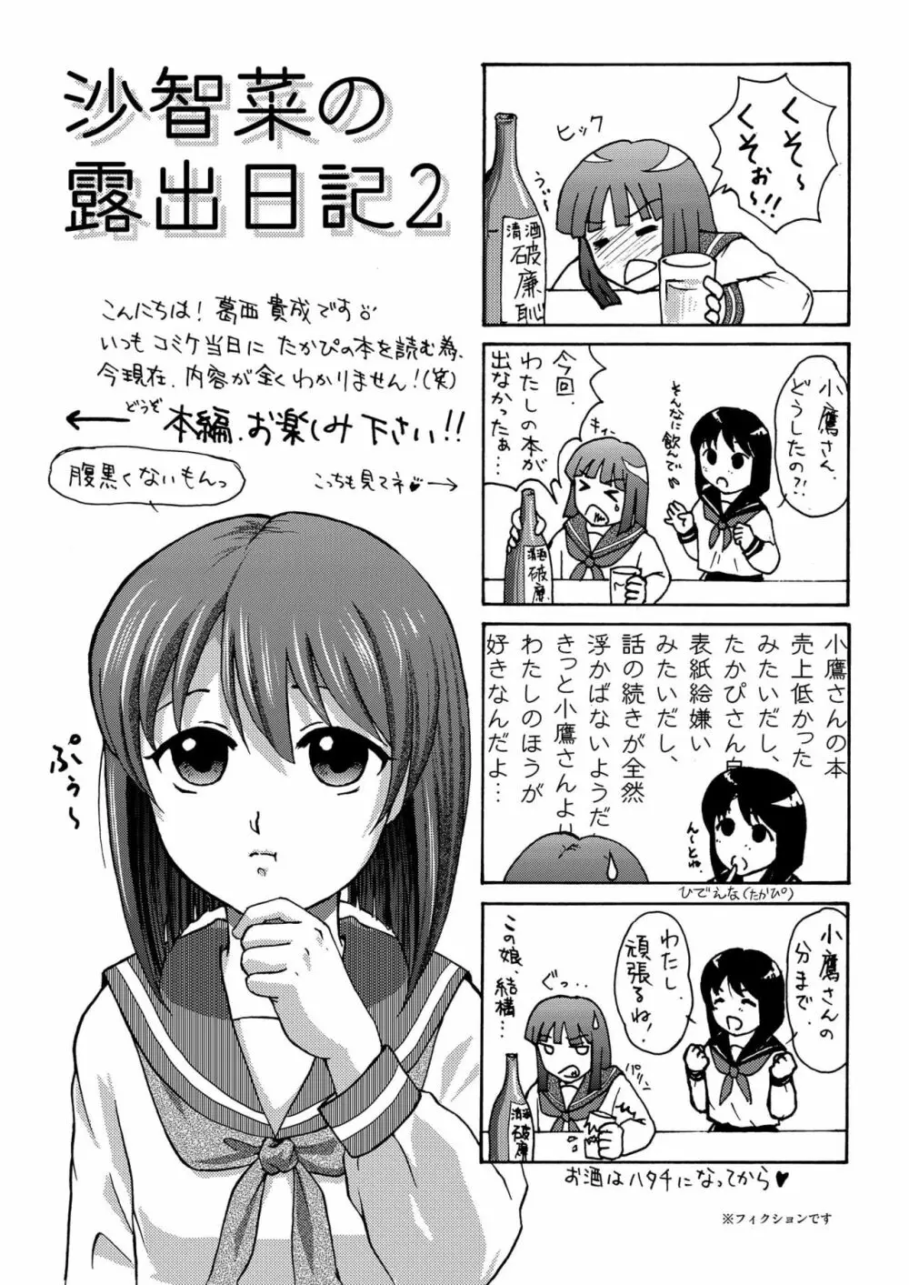 沙智菜の露出日記2 3ページ