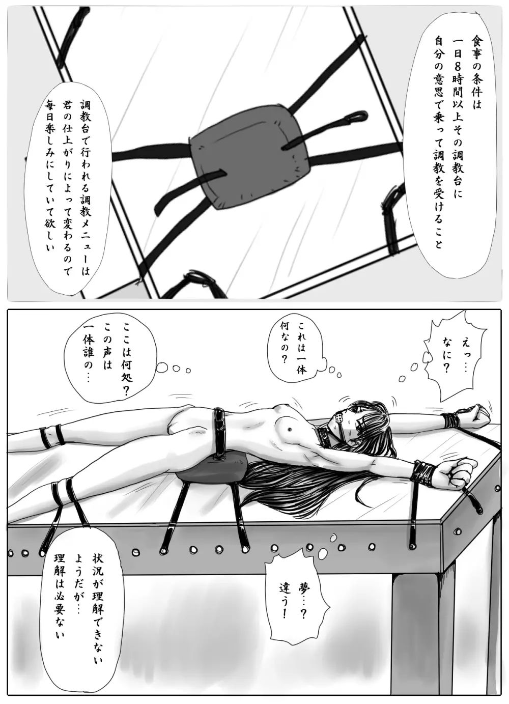 女学生監禁調教～拘束針刺し電流～ 5ページ