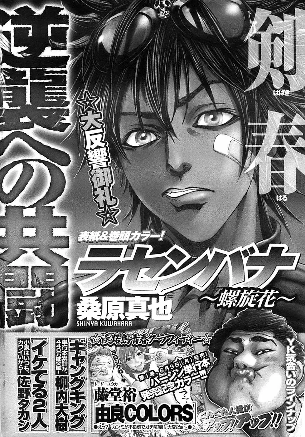 ヤングコミック 2008年7月号 303ページ