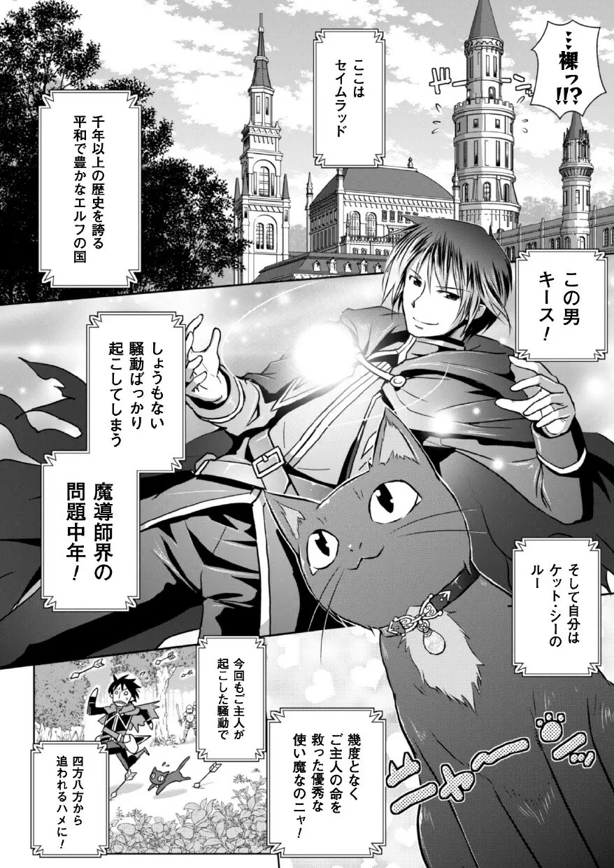 エルフの国の宮廷魔導師になれたので姫様に性的な悪戯をしてみた THE COMIC 6ページ