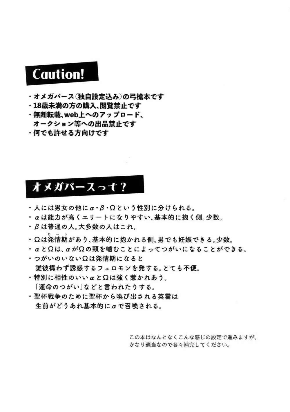 αのランサーが無理矢理ッΩにされてヒドい目にあう話 2ページ