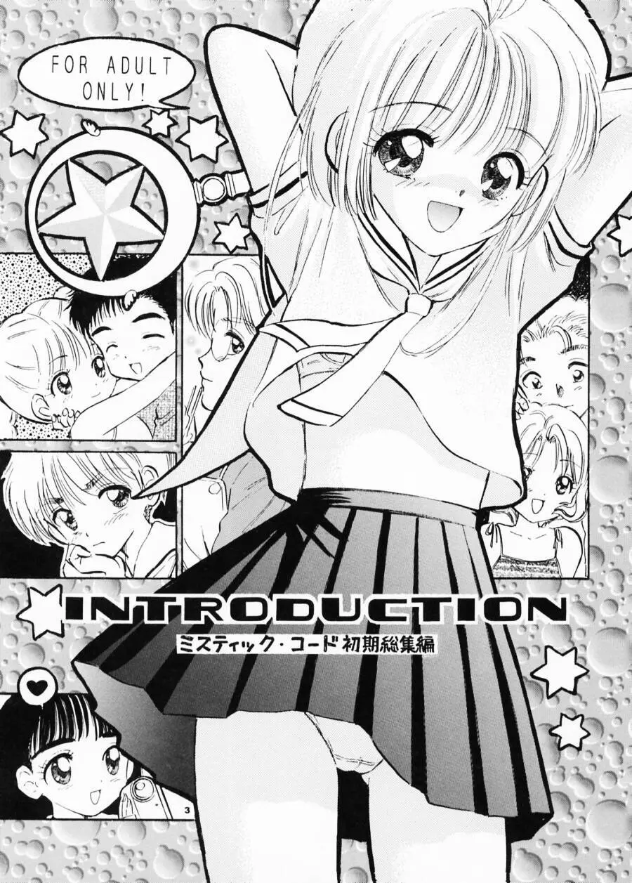 INTRODUCTION 2ページ