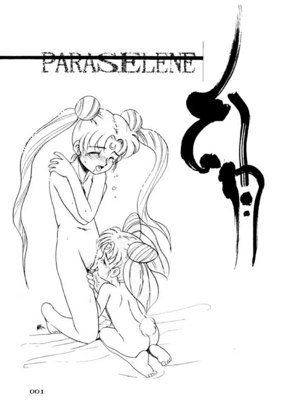 PARASELENE 2ページ