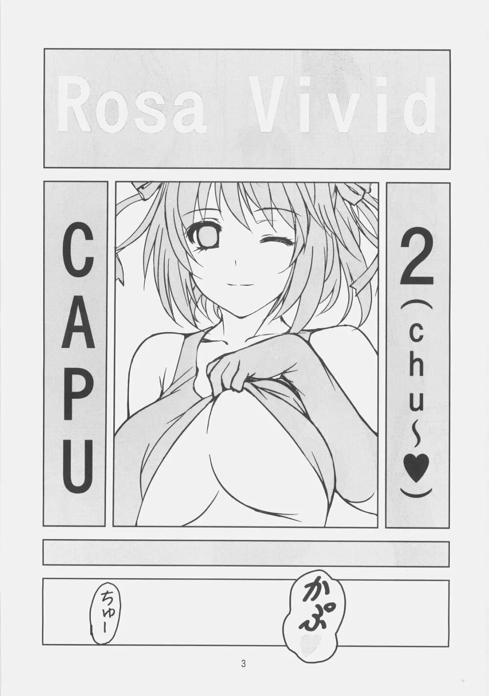 RV CAPU2 2ページ