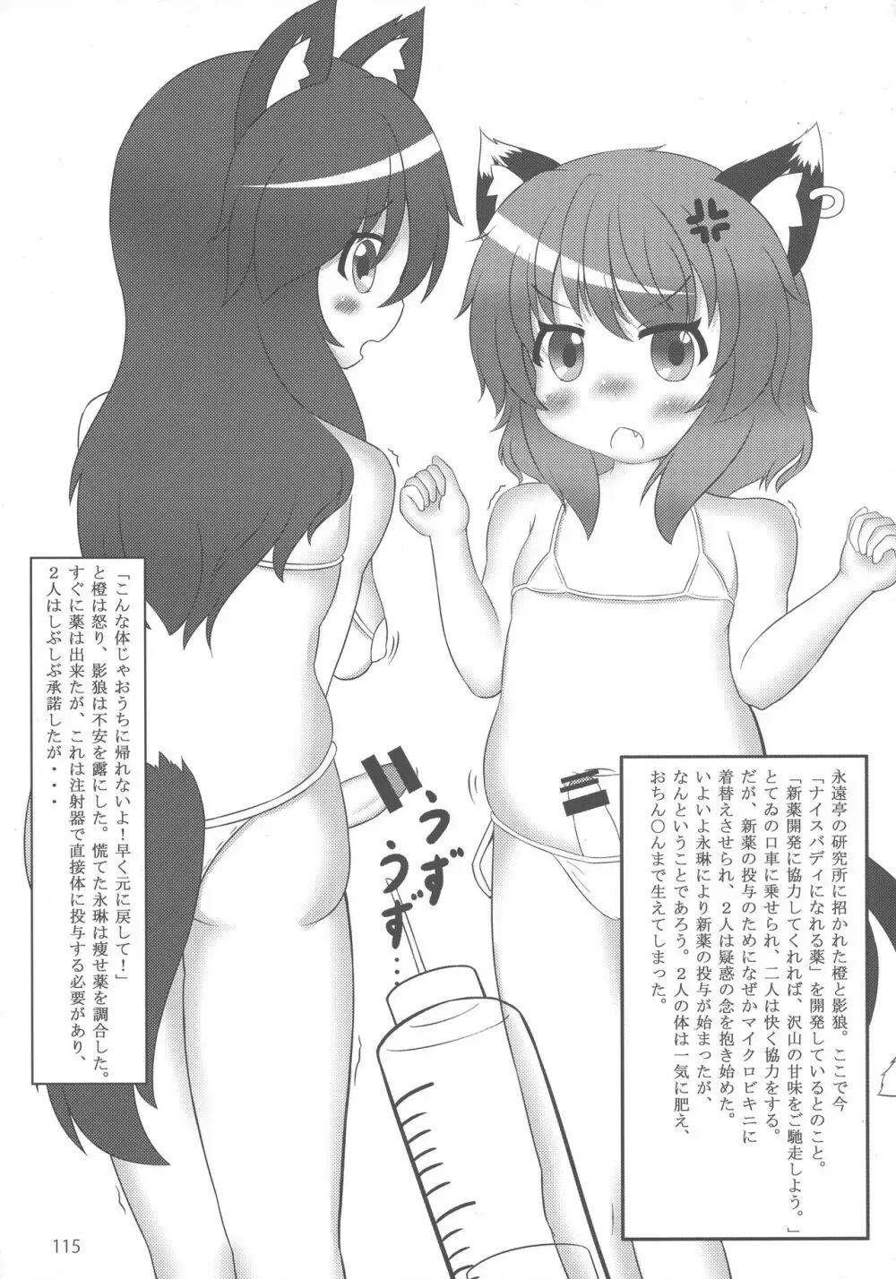 東方おにく合同 参 114ページ