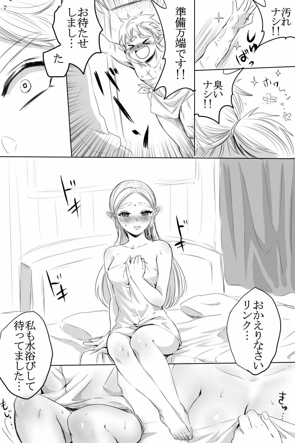 ブレワイのリンゼルがひたすらいちゃいちゃしてすけべなことする漫画 3ページ