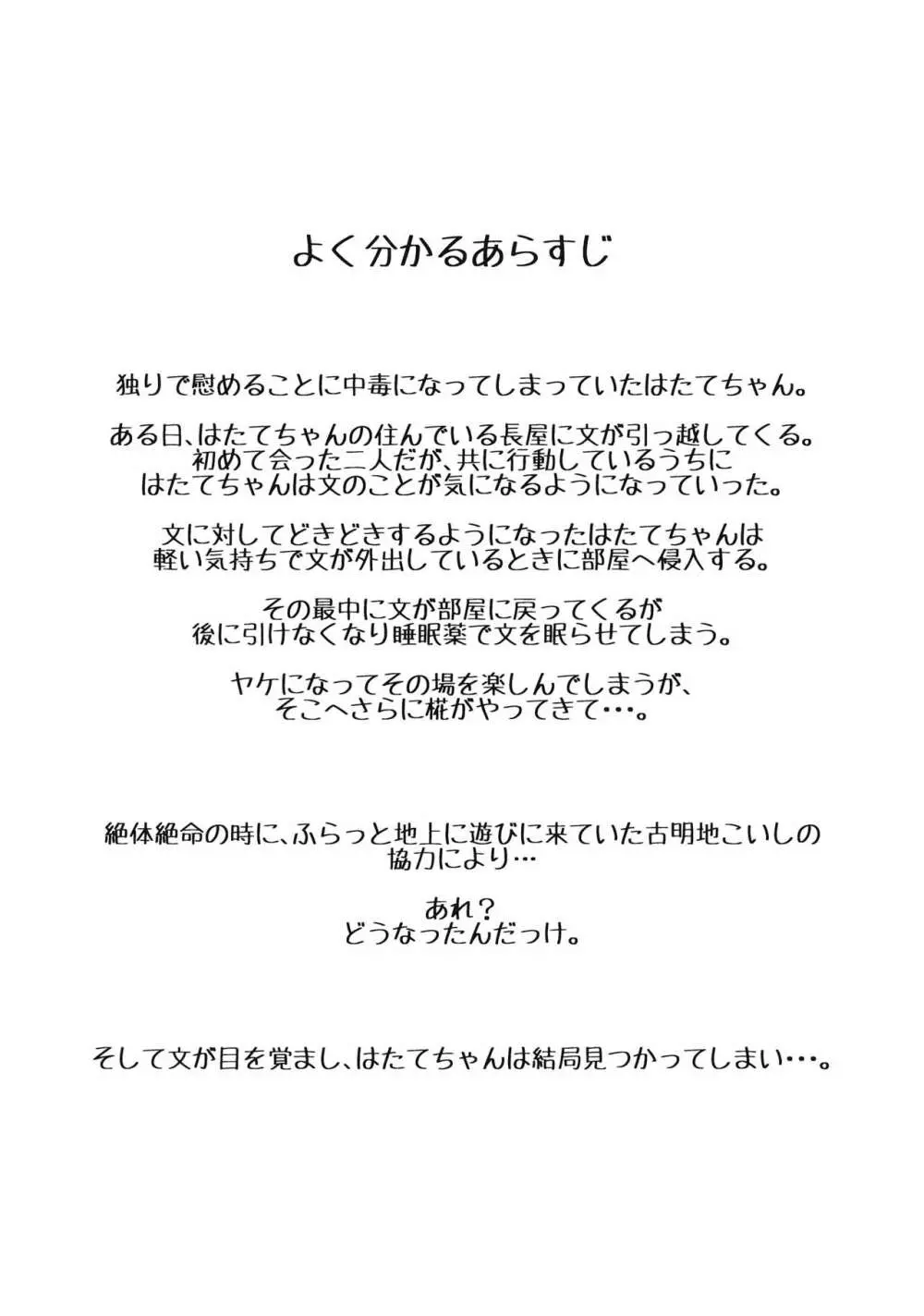 オナニープリンセスはたて 転 3ページ