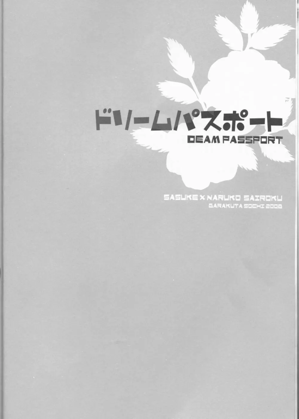 ドリームパスポート 5ページ