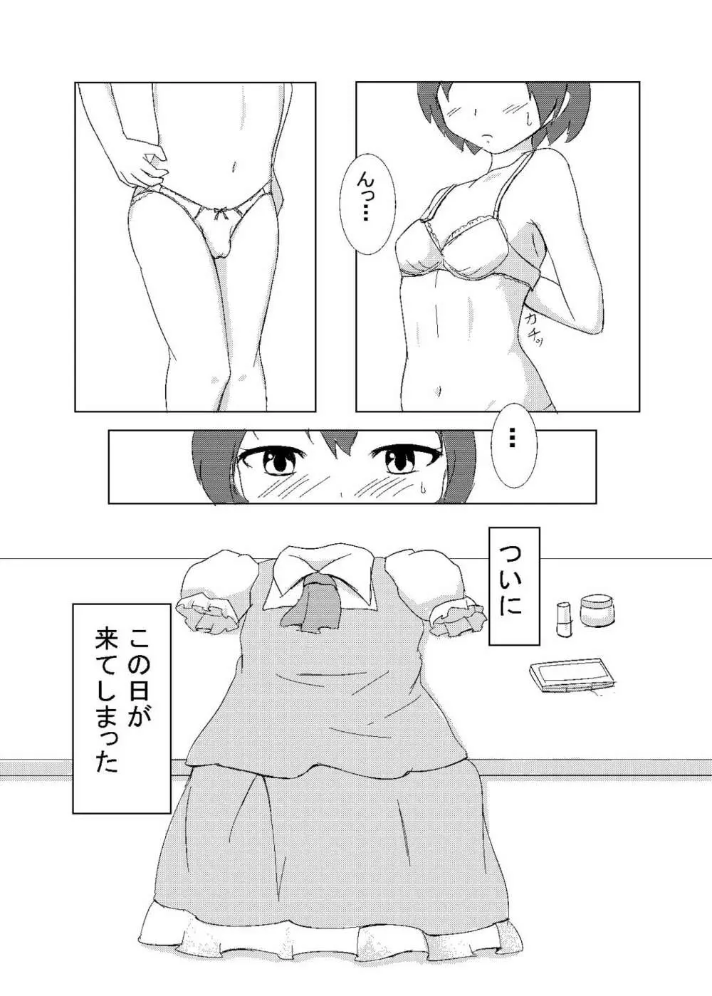 男の娘がコスニーするだけの本 + 男の娘チルノくん初めてのコスックス 19ページ