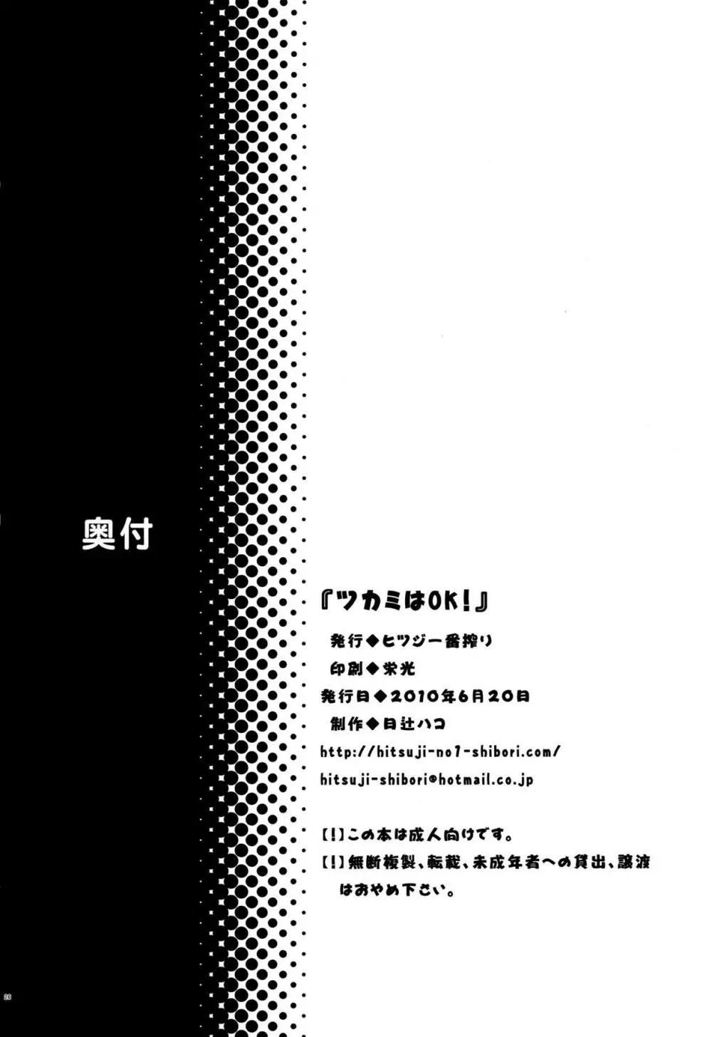 ツカミはOK! 25ページ