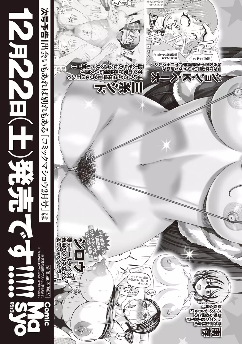 コミック・マショウ 2019年1月号 262ページ