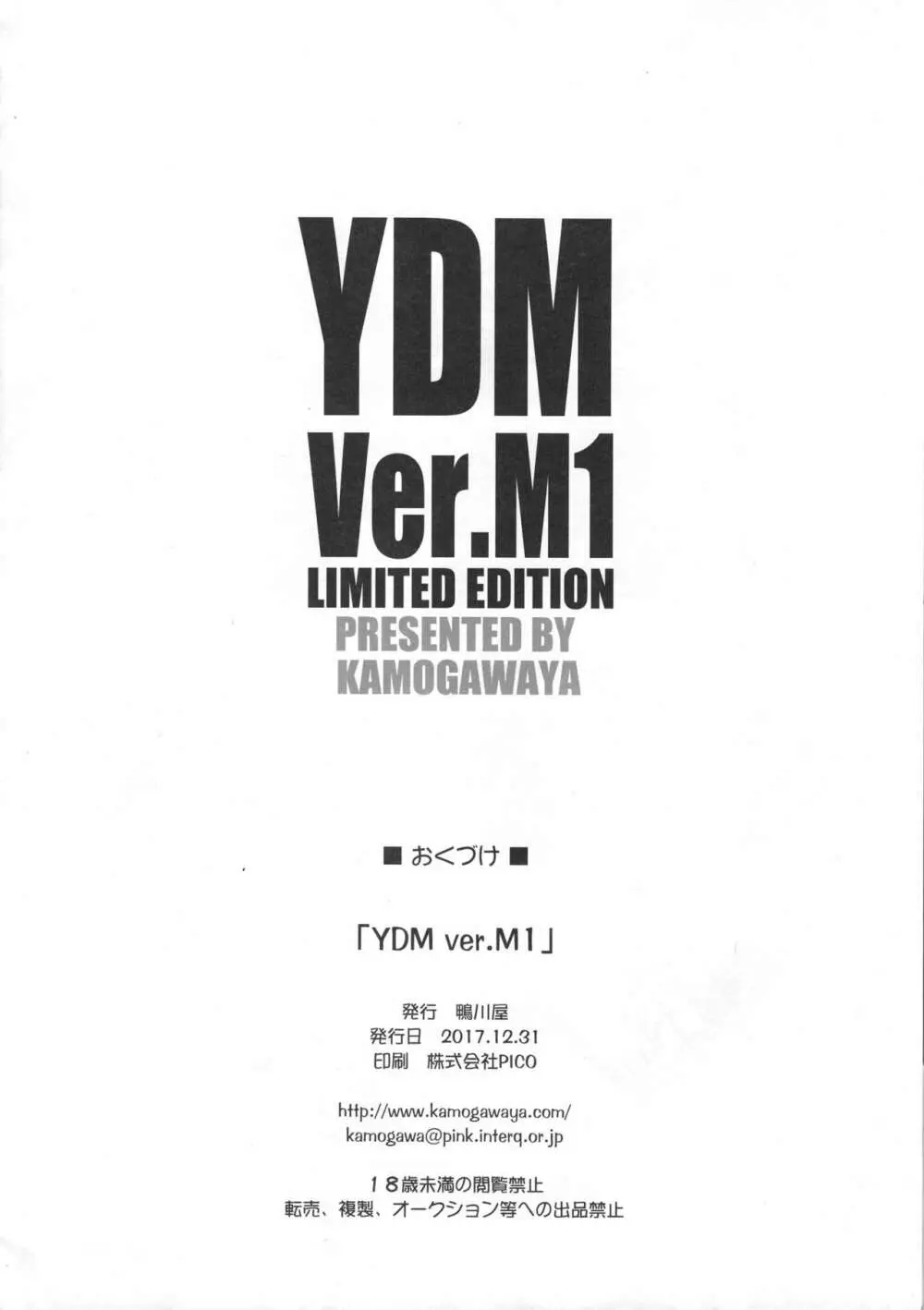 YDM ver.M1 12ページ