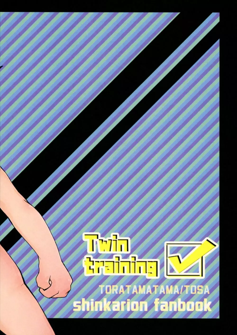 Twin training 24ページ