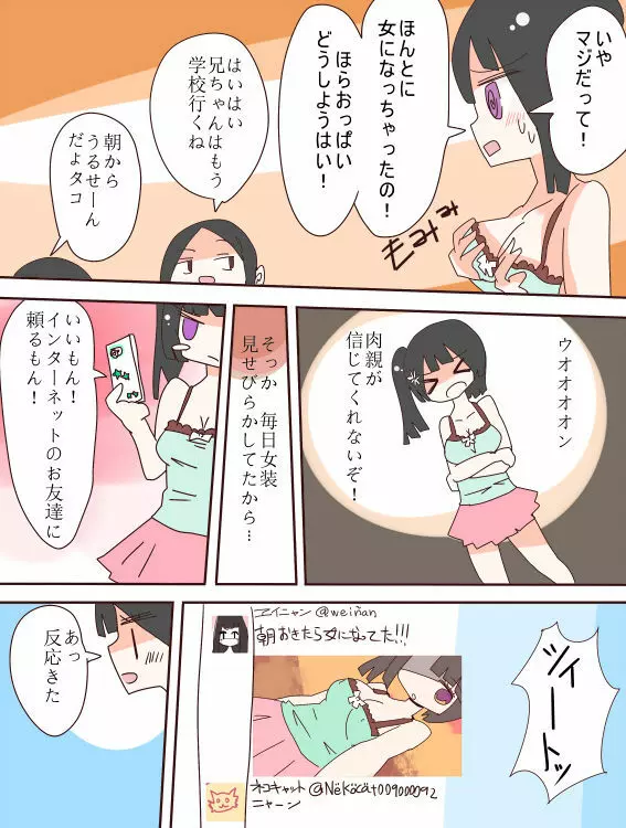 ねえ、女の子になっちゃったってば！ 6ページ