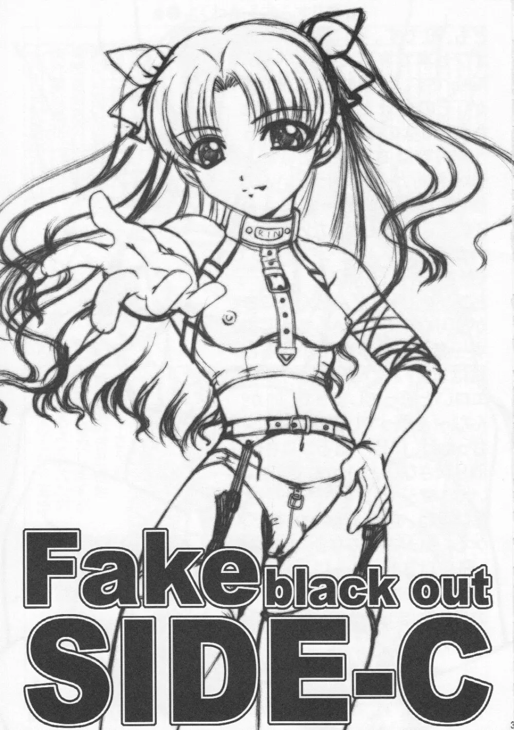 Fake black out SIDE-C 3ページ