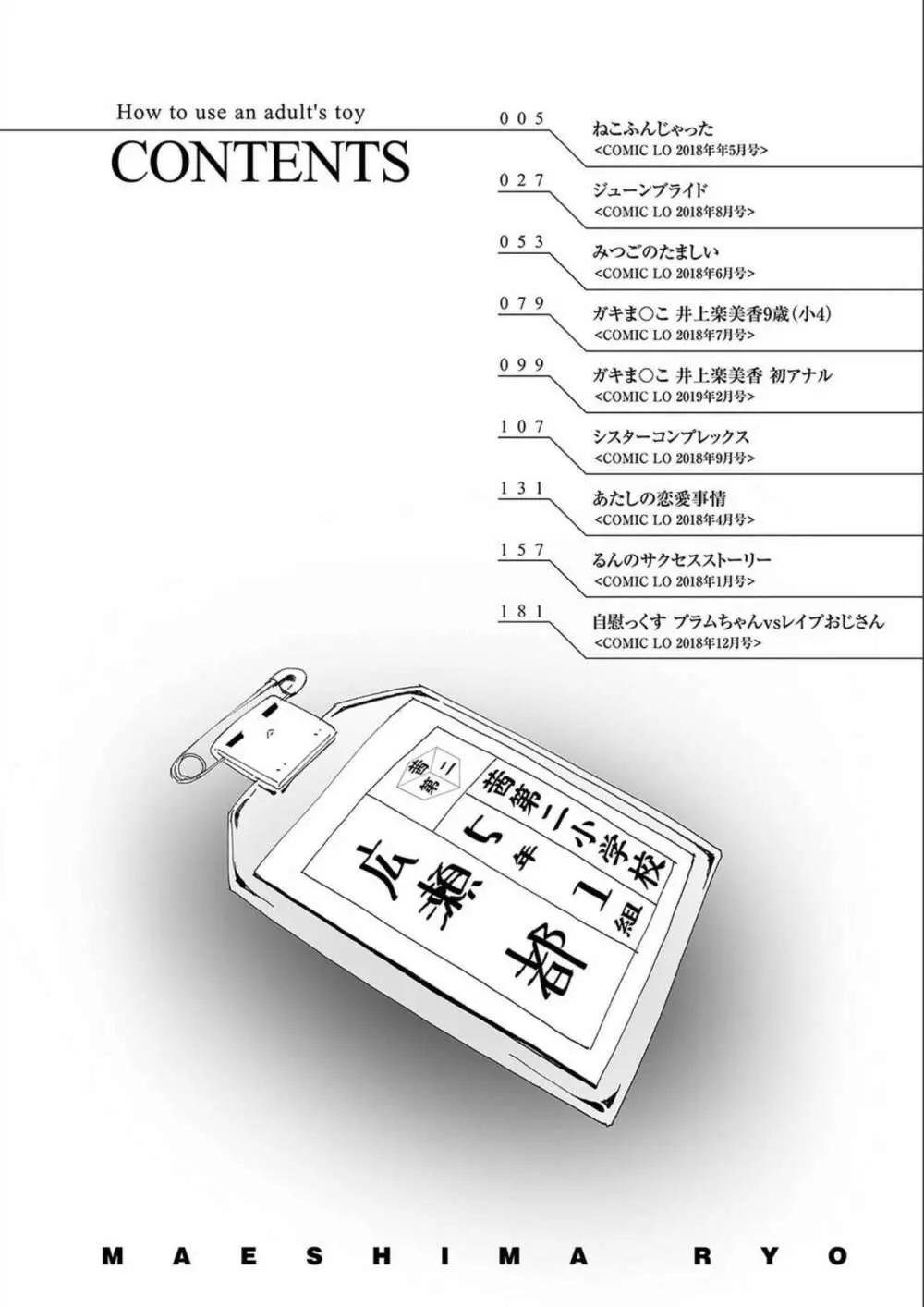 おとなのおもちゃの使い方 4ページ