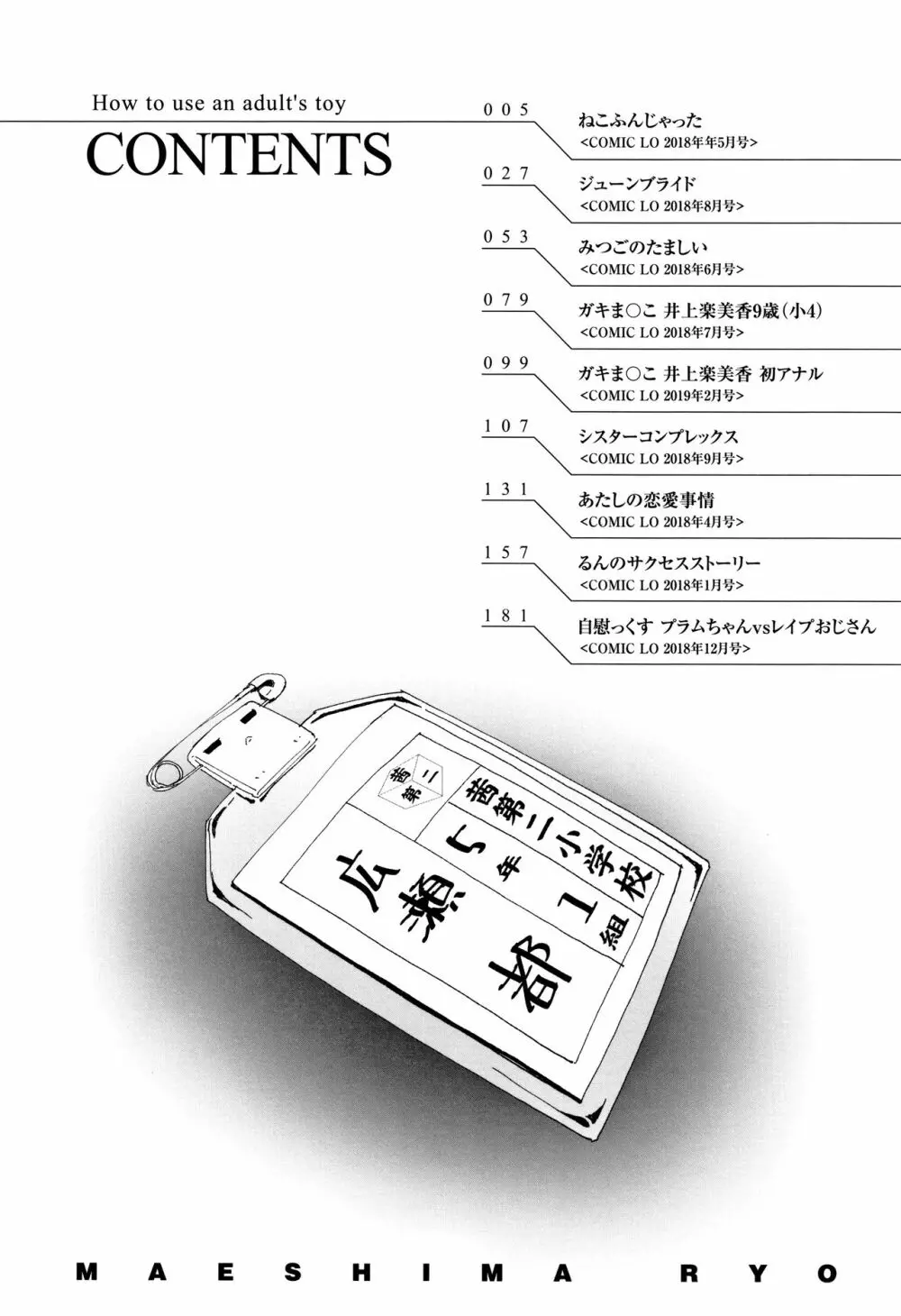 おとなのおもちゃの使い方 + 4Pリーフレット 5ページ