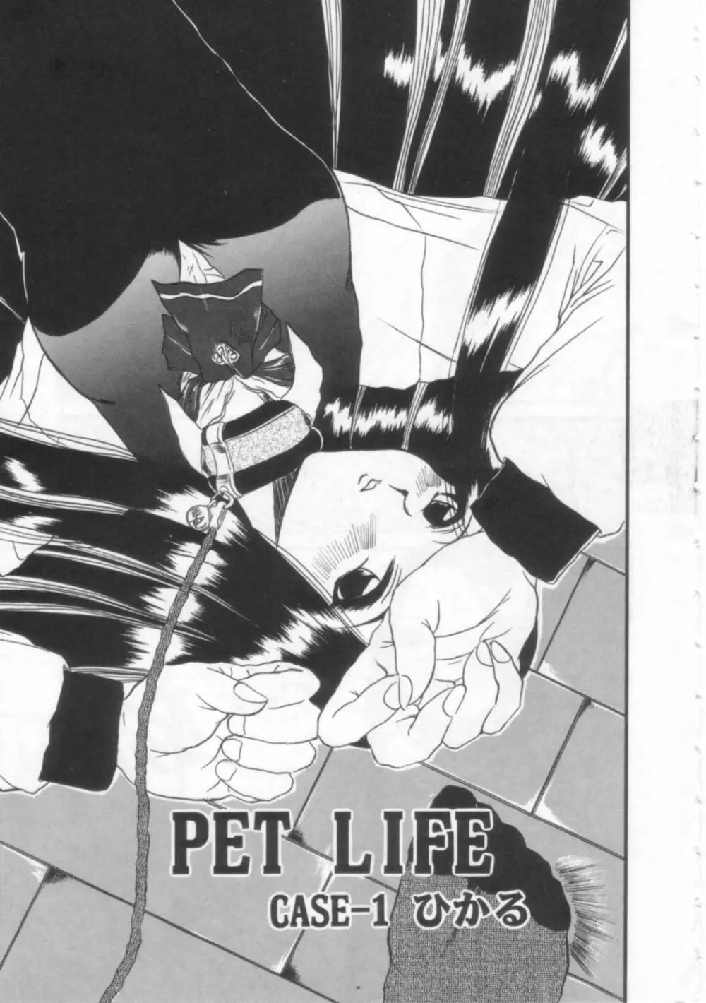 PET LIFE 6ページ