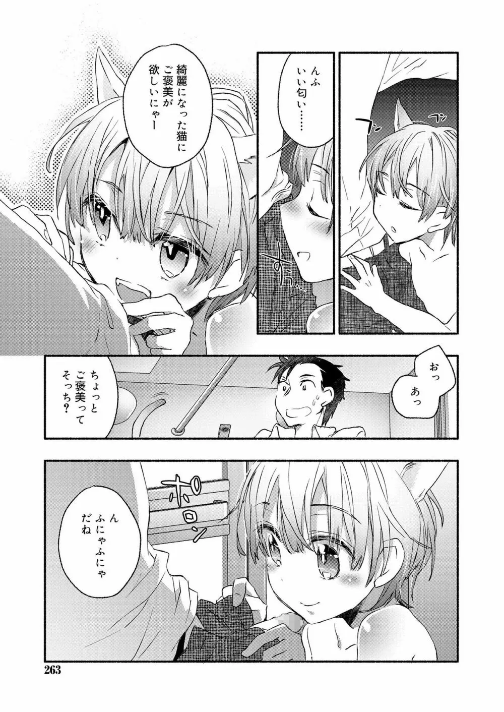 好色少年 vol.12 263ページ