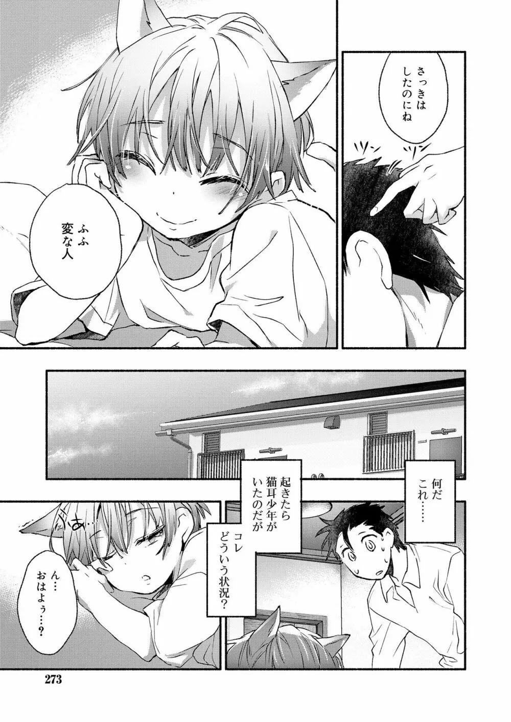 好色少年 vol.12 273ページ