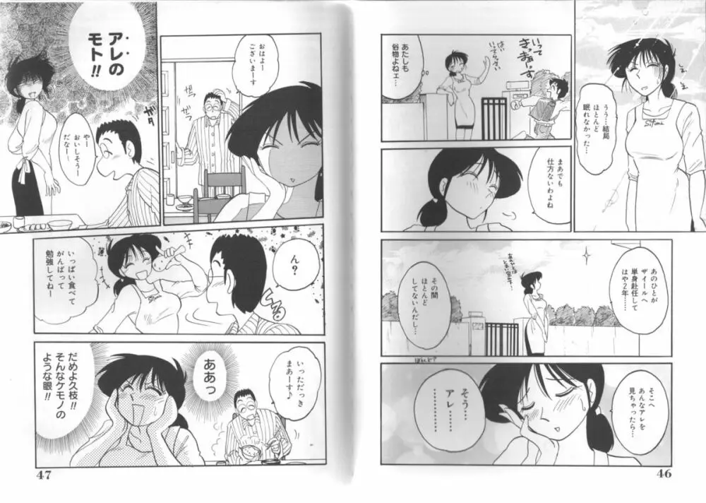 久枝さんの背徳日記 23ページ