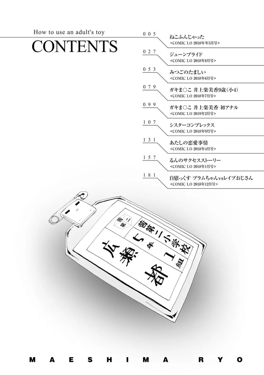 おとなのおもちゃの使い方 4ページ