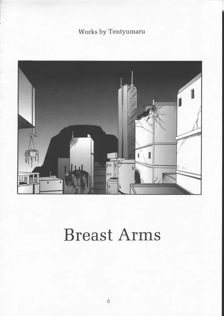 BREAST ARMS 4ページ