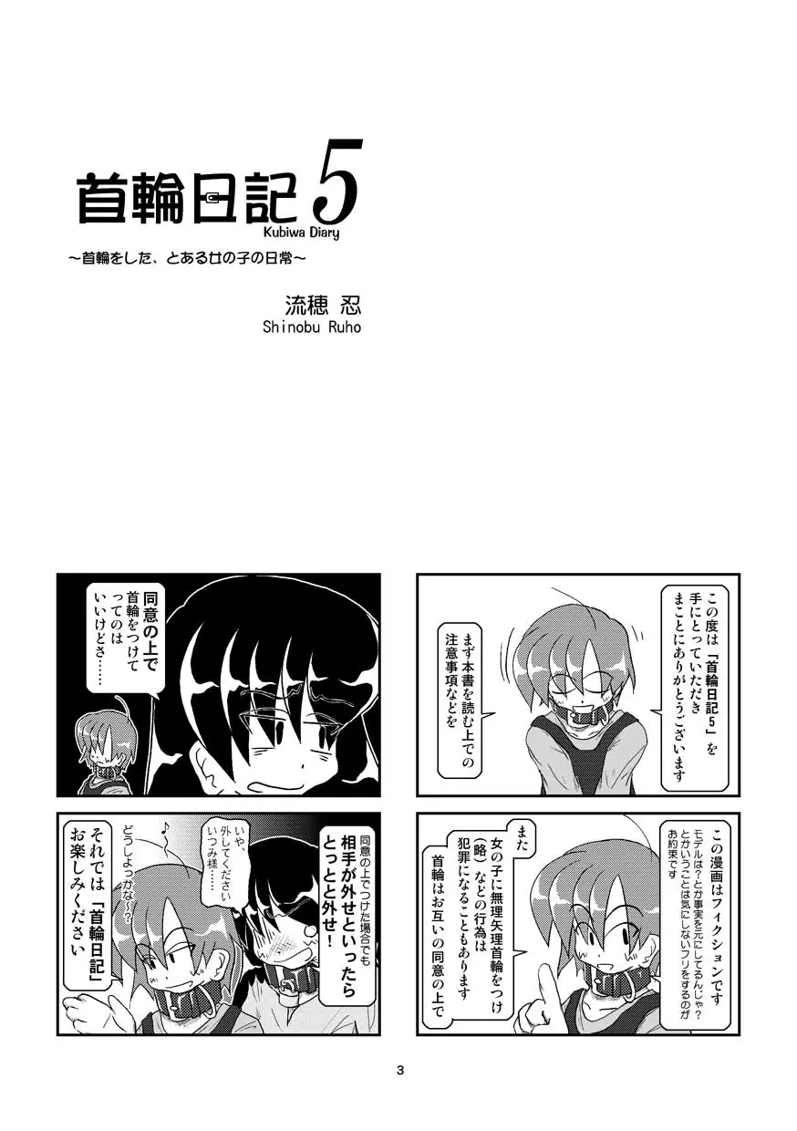 首輪日記 5 3ページ