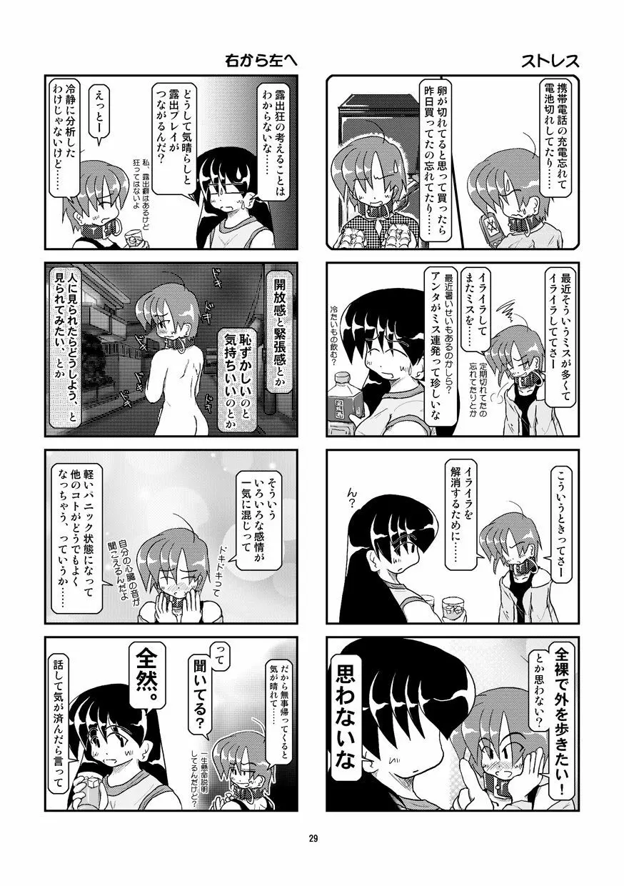 首輪日記 6 29ページ