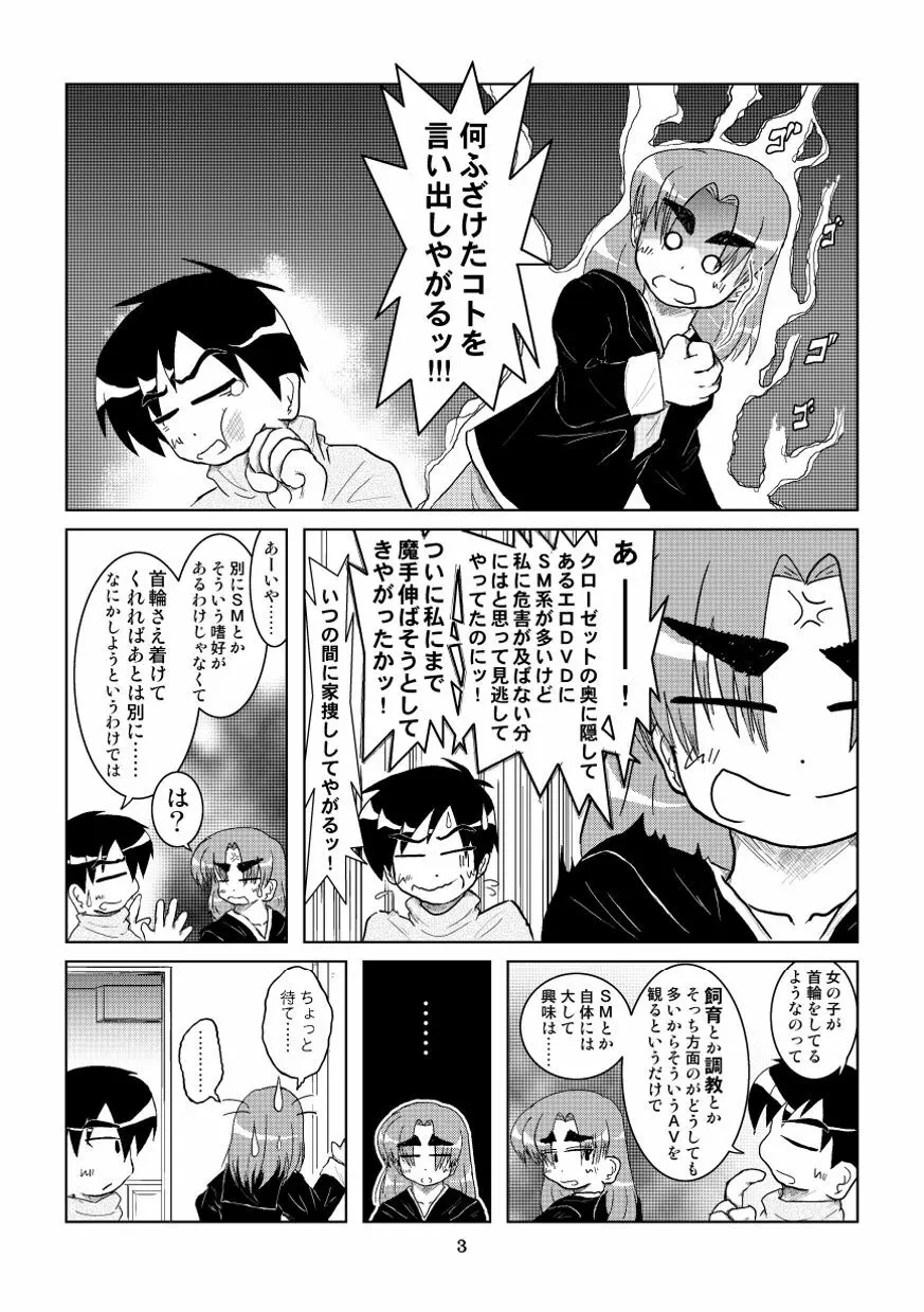 彼女に首輪を着ける 4ページ