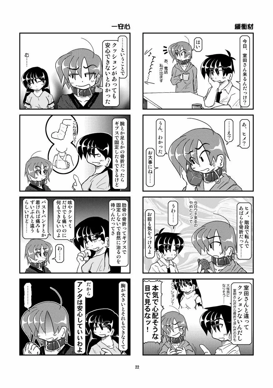 首輪日記 8 22ページ