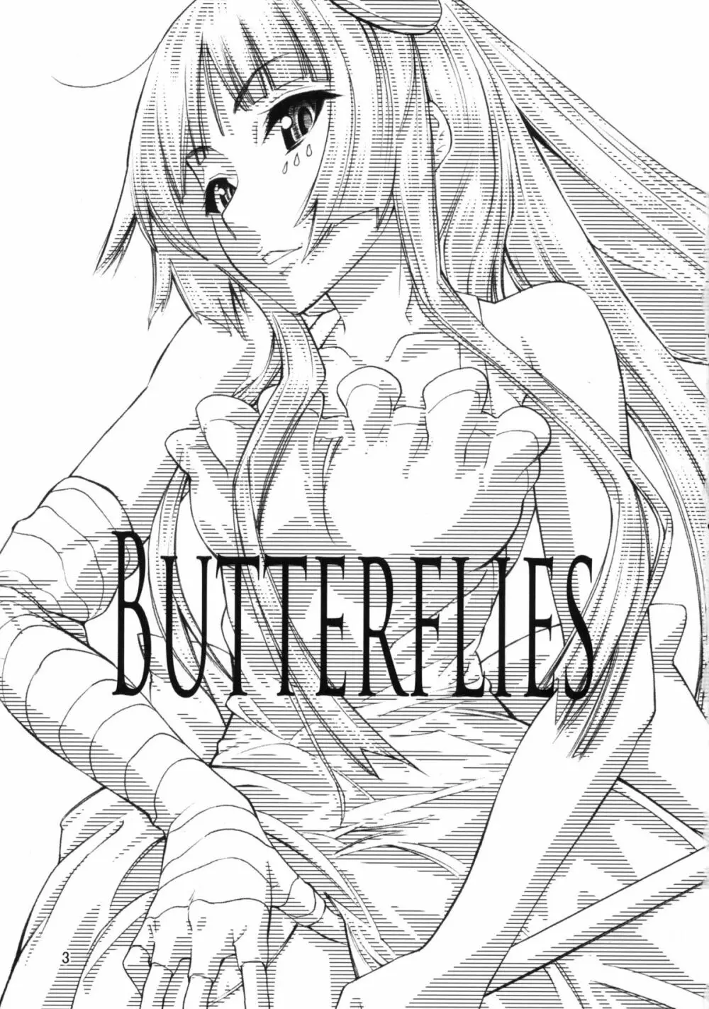 BUTTERFLIES 2ページ