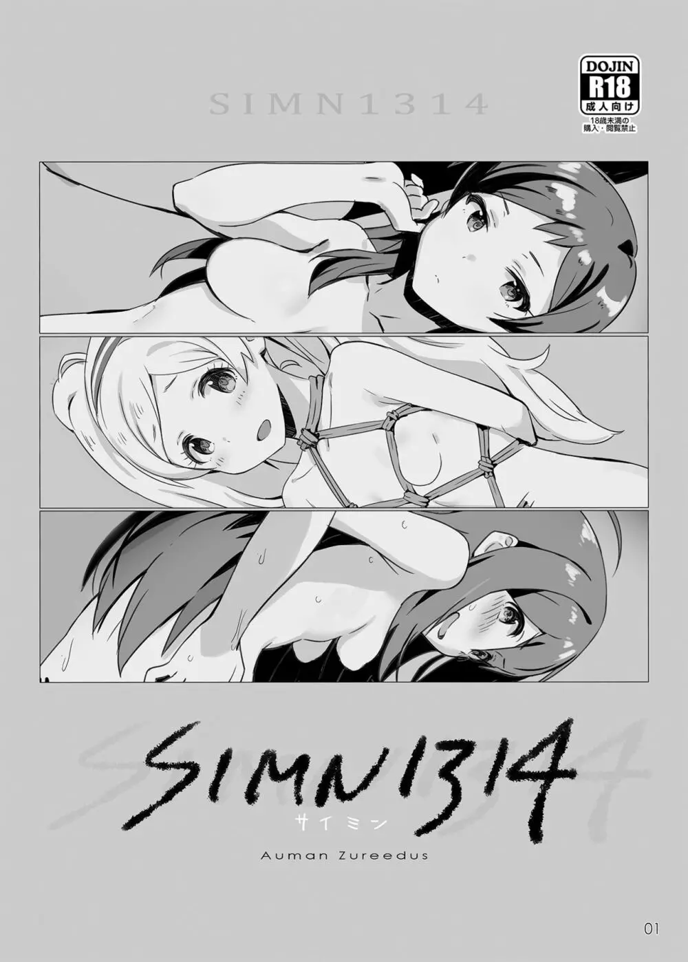 SIMN1314 1ページ