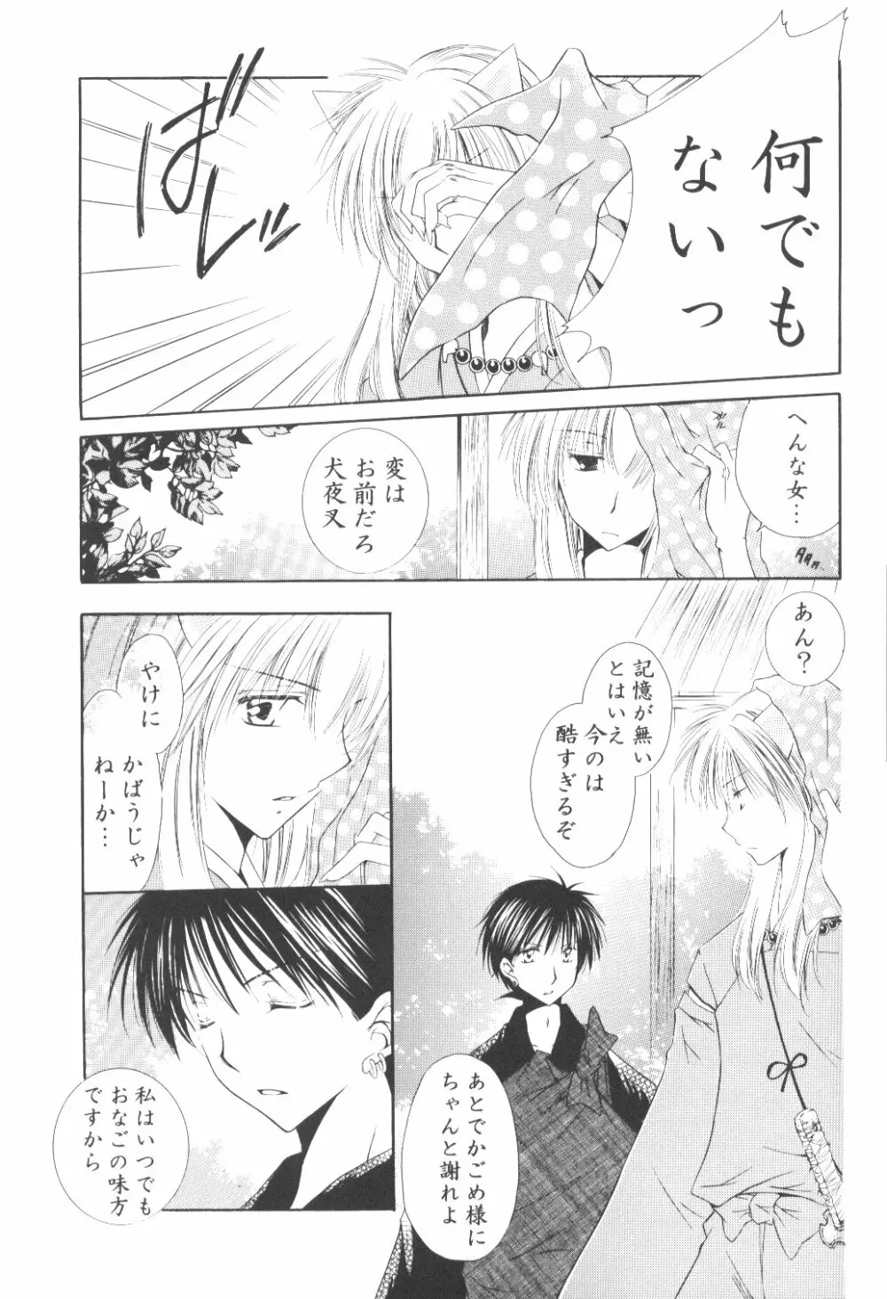 Ryuusei Ryodan 17ページ