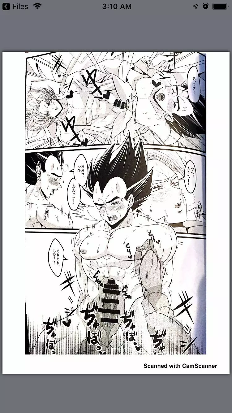 Vegeta vist goku 11ページ