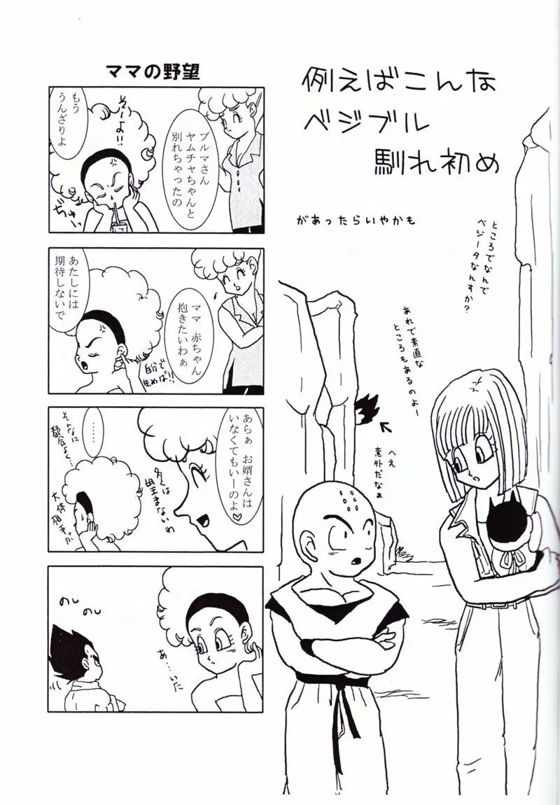 Vegeta and Bulma Love 4ページ