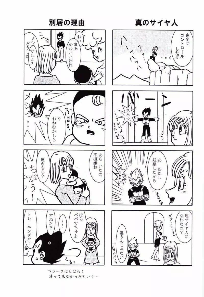 Vegeta and Bulma Love 8ページ