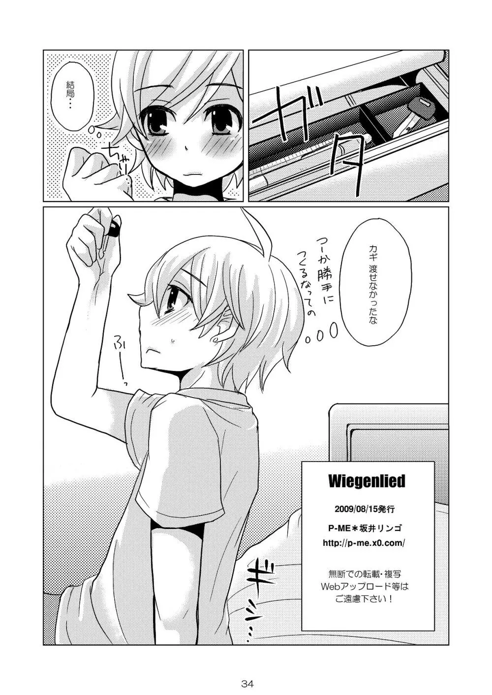 Wiegenlied 33ページ