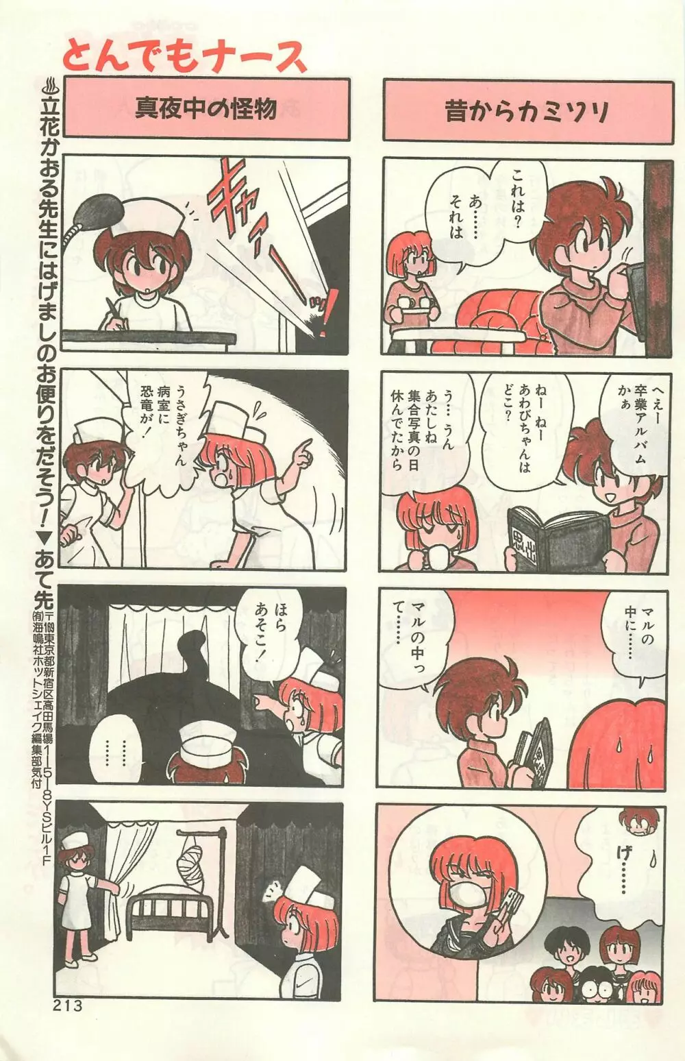 COMIC ホットシェイク キャンディータイム海賊版 1994年2月号増刊 207ページ