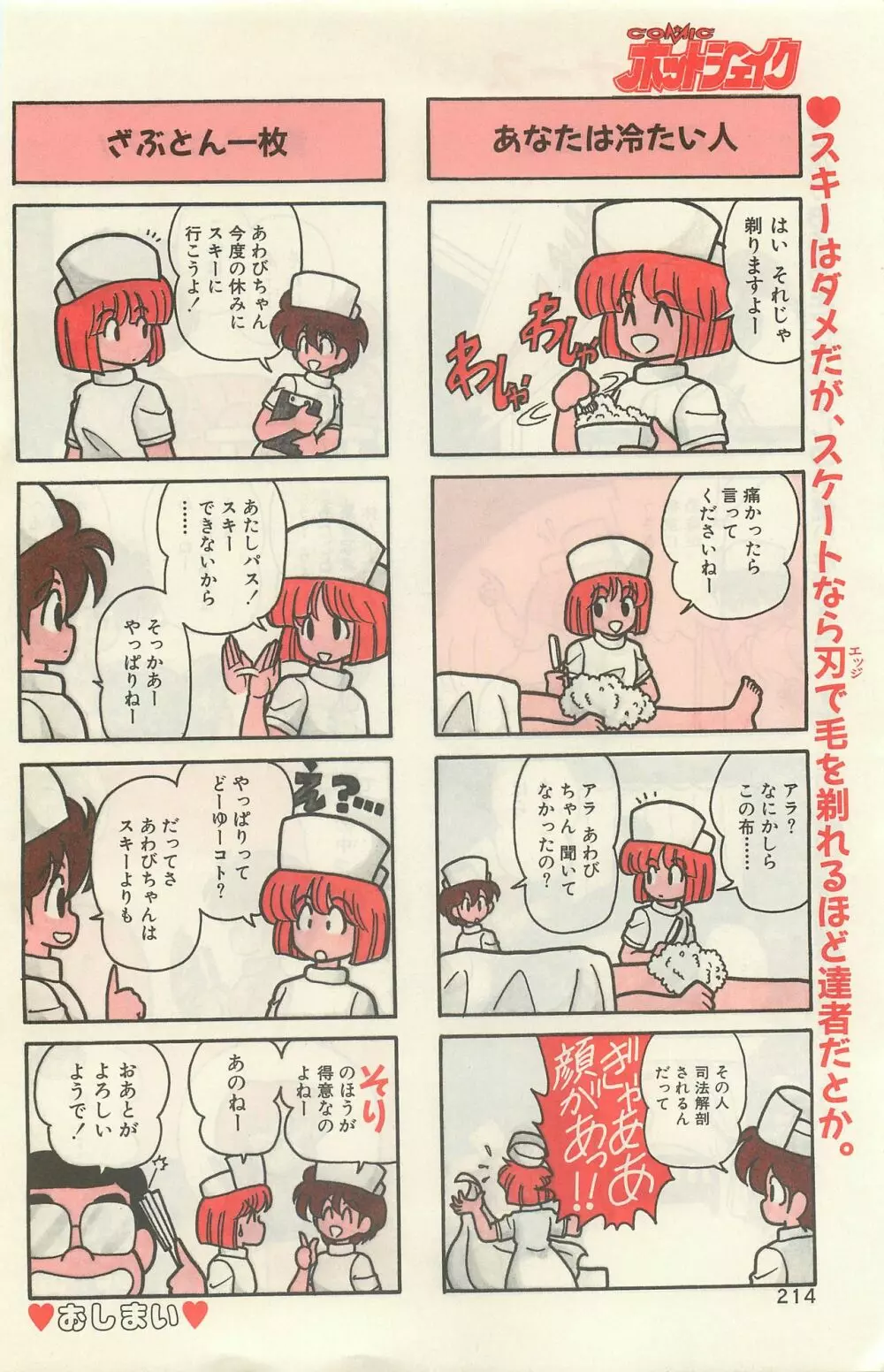 COMIC ホットシェイク キャンディータイム海賊版 1994年2月号増刊 208ページ