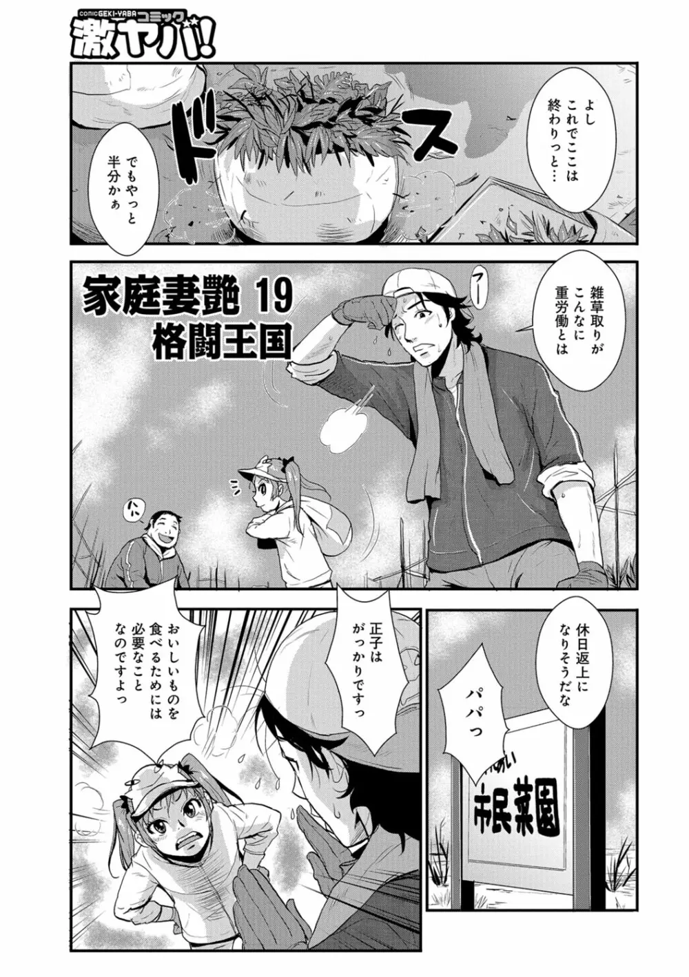 家庭妻艶 Vol.3 36ページ