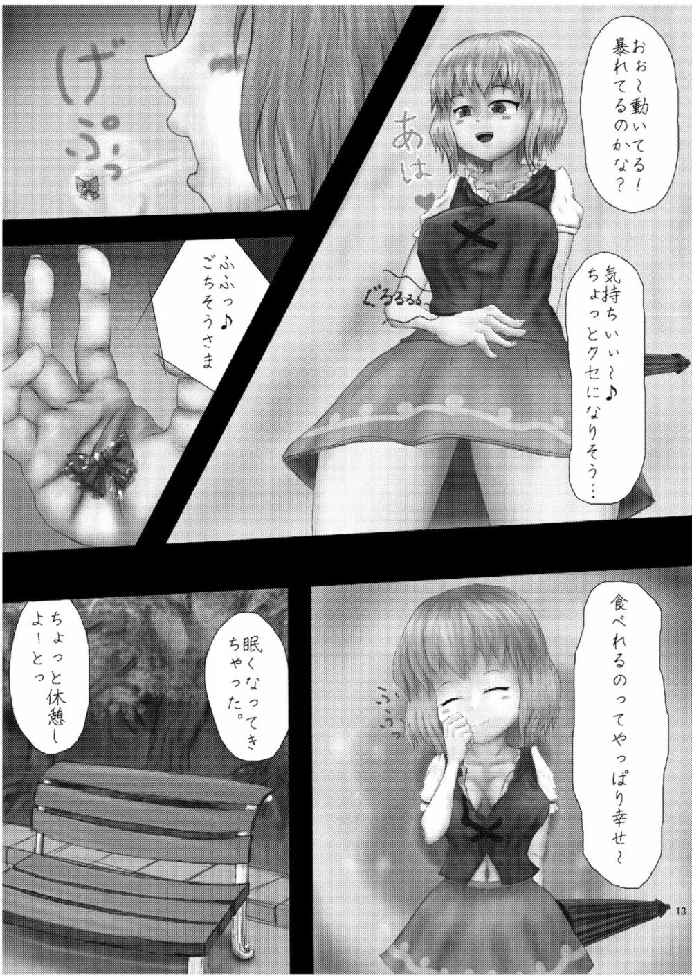 腸内会誌 13ページ