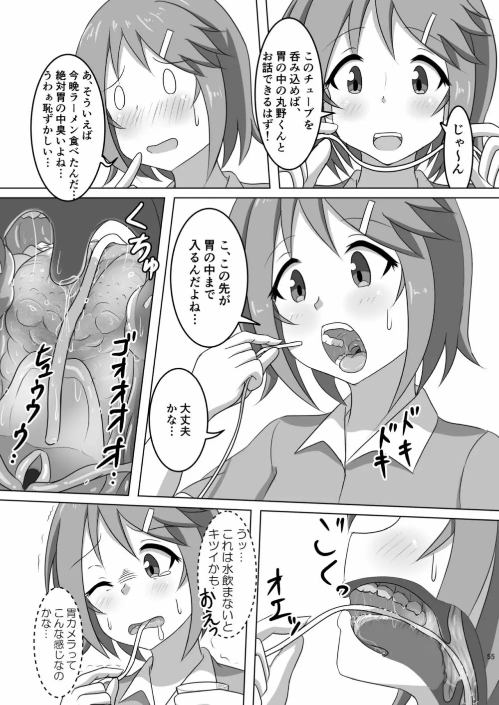 腸内会誌 55ページ