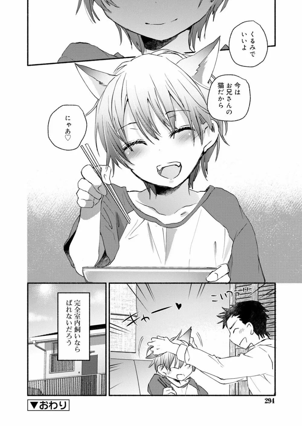 好色少年 vol.13 295ページ