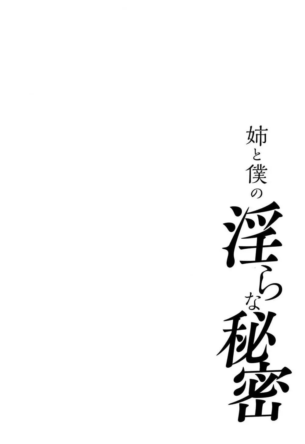 姉と僕の淫らな秘密 65ページ