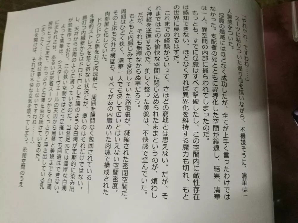 魔胎都市 -幕間- 12ページ