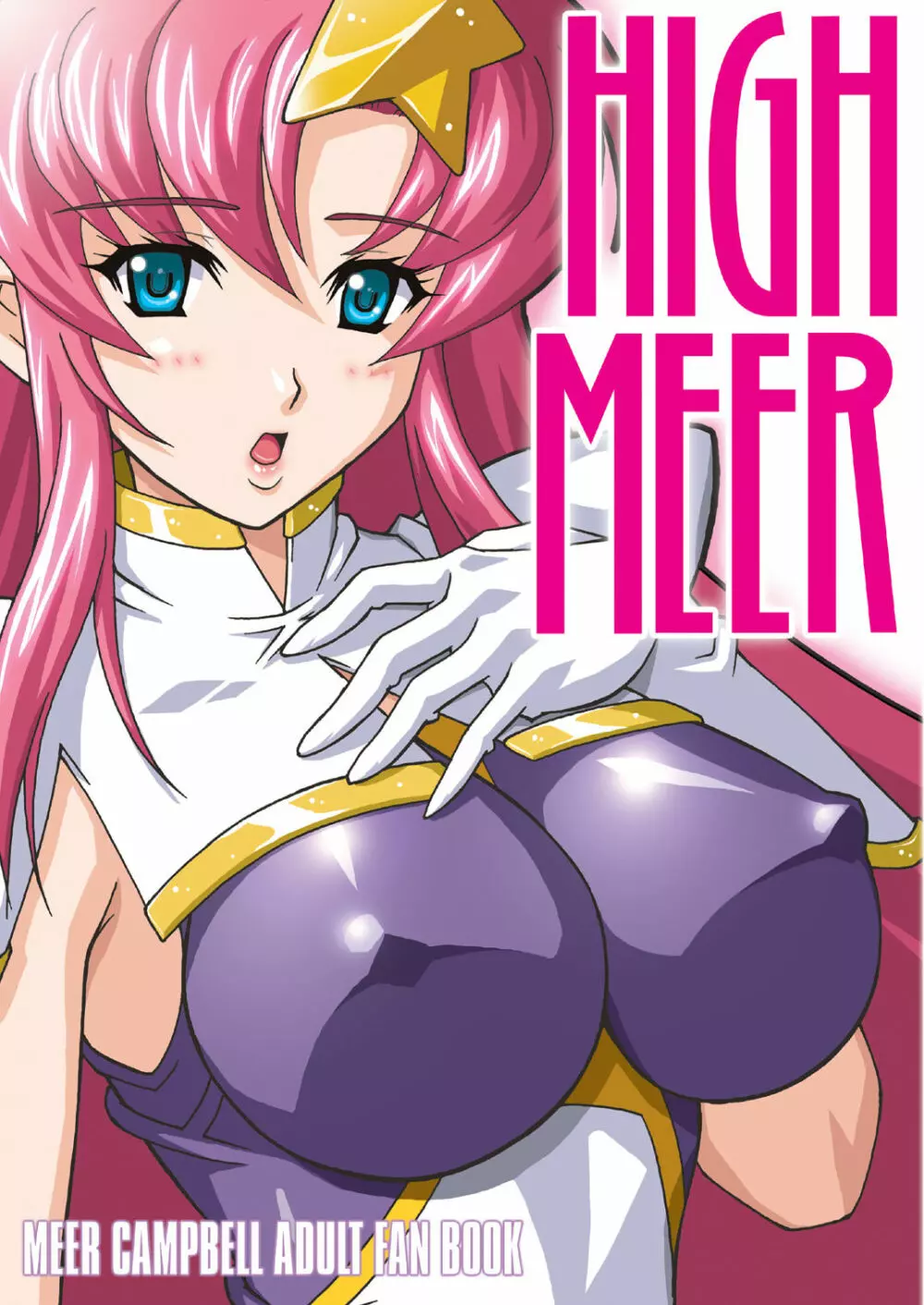 HIGH MEER DL 2ページ