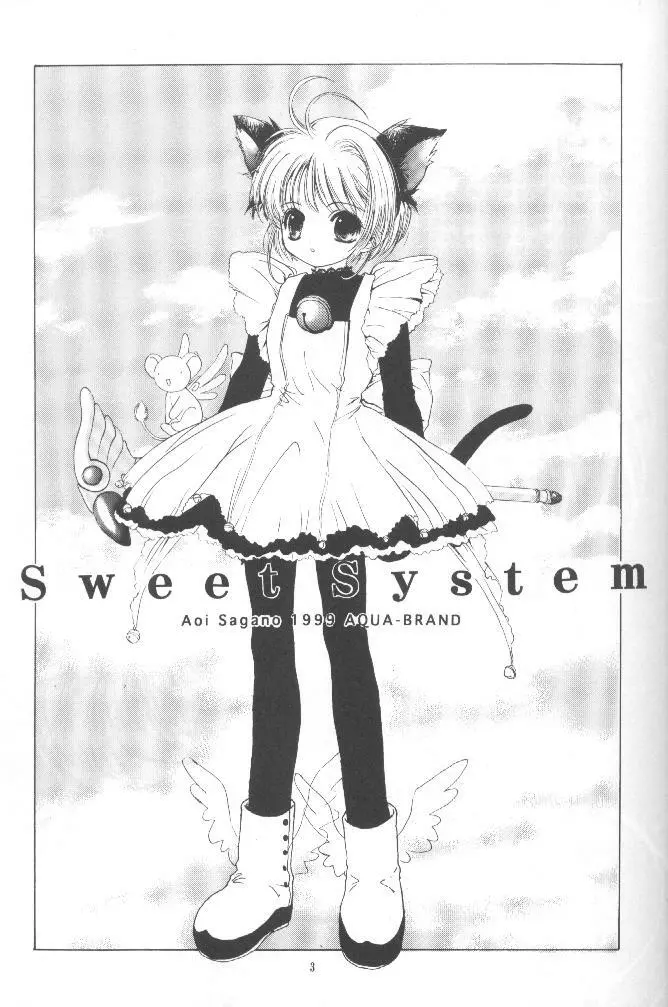 Sewwt System 2ページ